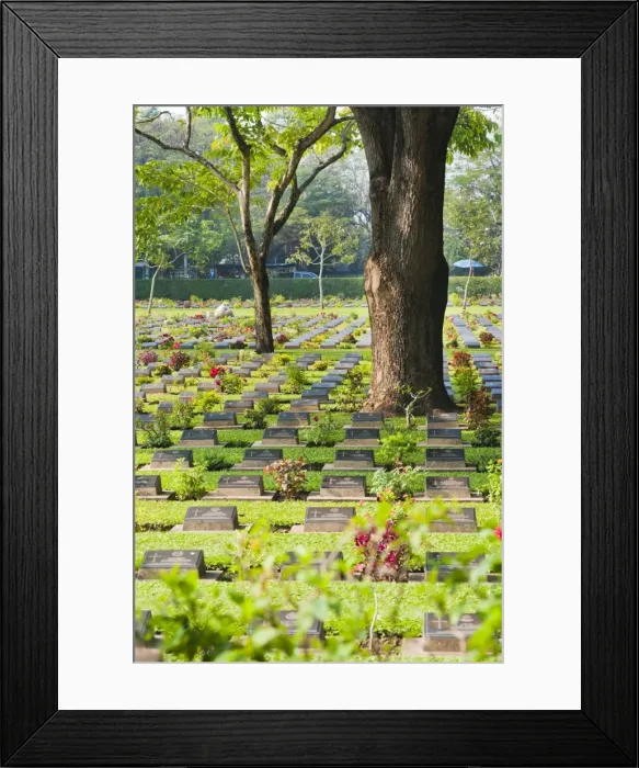 Framed Print : Lines of thousands of graves among trees at Kanchanaburi War Cemetery, Thailand, Southeast Asia, Asia Framed Print : Lines of thousands of graves among trees at Kanchanaburi War Cemetery, Thailand, Southeast Asia, Asia
