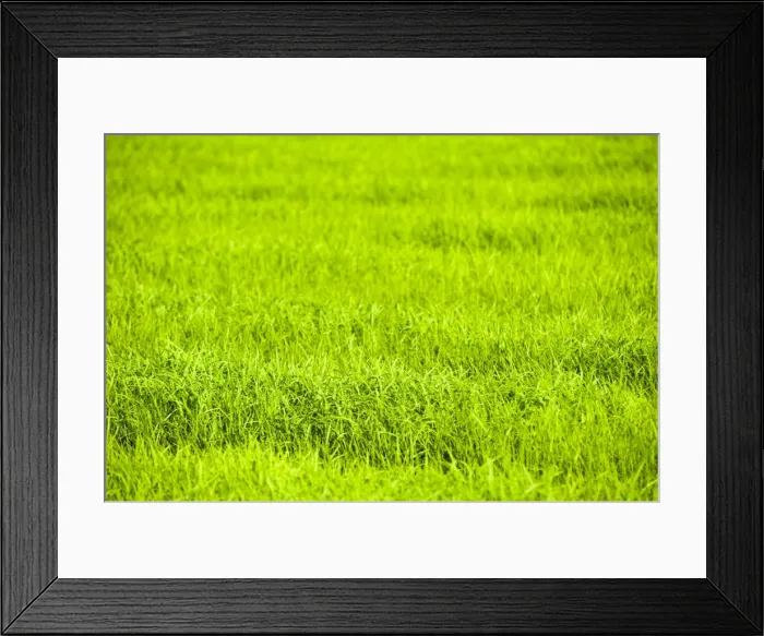 Framed Print : Rice paddy fields near Chiang Rai, Thailand, Southeast Asia, Asia Framed Print : Rice paddy fields near Chiang Rai, Thailand, Southeast Asia, Asia