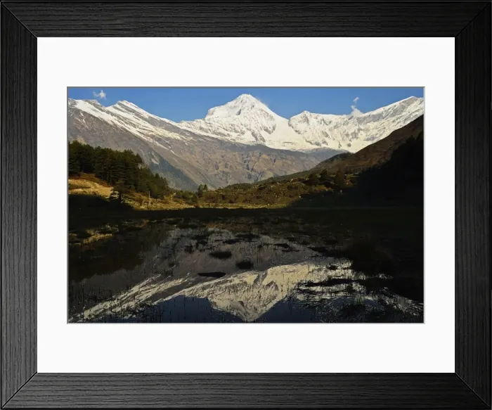Framed Print : Dhaulagiri Himal seen from Titi, Annapurna Conservation Area, Dhawalagiri (Dhaulagiri), Western Region (Pashchimanchal), Nepal, Himalayas, Asia Framed Print : Dhaulagiri Himal seen from Titi, Annapurna Conservation Area, Dhawalagiri (Dhaulagiri), Western Region (Pashchimanchal), Nepal, Himalayas, Asia