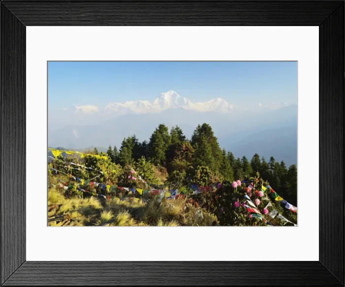 Framed Print : Dhaulagiri Himal seen from Poon Hill, Annapurna Conservation Area, Dhawalagiri (Dhaulagiri), Western Region (Pashchimanchal), Nepal, Himalayas, Asia