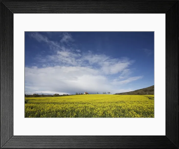 Framed Print : Parish church in field of rape, Idsworth, near Petersfield, Hampshire, England, United Kingdom, Europe Framed Print : Parish church in field of rape, Idsworth, near Petersfield, Hampshire, England, United Kingdom, Europe