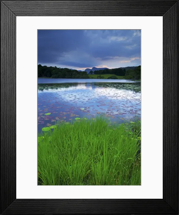 Framed Print : Loughrigg Tarn, Lake District National Park, Cumbria, England, United Kingdom, Europe Framed Print : Loughrigg Tarn, Lake District National Park, Cumbria, England, United Kingdom, Europe