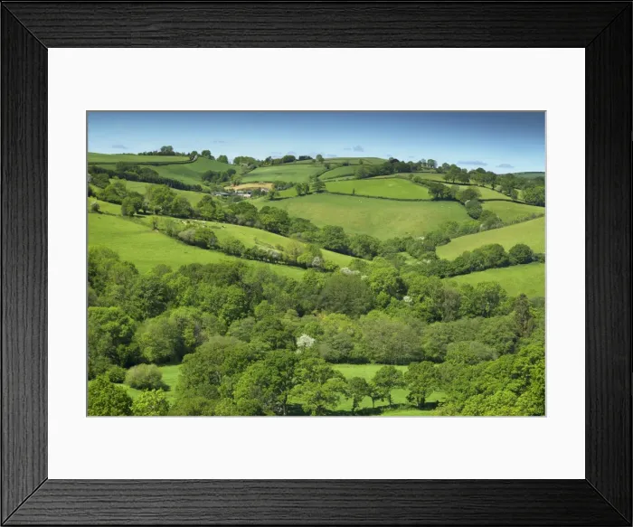 Framed Print : Fields near Cadleigh, Mid Devon, Devon, England, United Kingdom, Europe Framed Print : Fields near Cadleigh, Mid Devon, Devon, England, United Kingdom, Europe