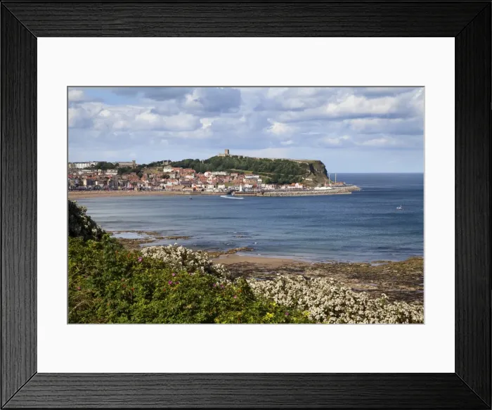 Framed Print : South Bay and Castle Hill from South Cliff Gardens, Scarborough, North Yorkshire, England, United Kingdom, Europe Framed Print : South Bay and Castle Hill from South Cliff Gardens, Scarborough, North Yorkshire, England, United Kingdom, Europe