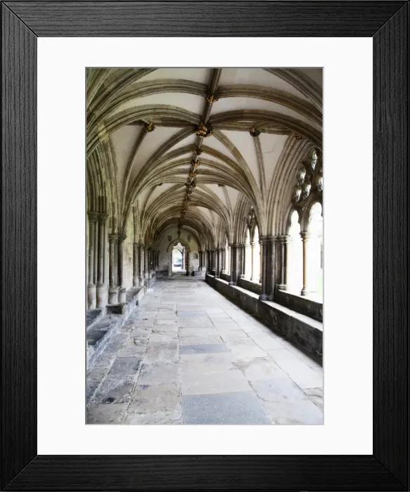 Framed Print : Norwich Cathedral Cloisters, Norwich, Norfolk, England, United Kingdom, Europe Framed Print : Norwich Cathedral Cloisters, Norwich, Norfolk, England, United Kingdom, Europe