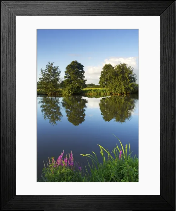 Framed Print : River Exe near Brampford Speke, Devon, England, United Kingdom, Europe Framed Print : River Exe near Brampford Speke, Devon, England, United Kingdom, Europe