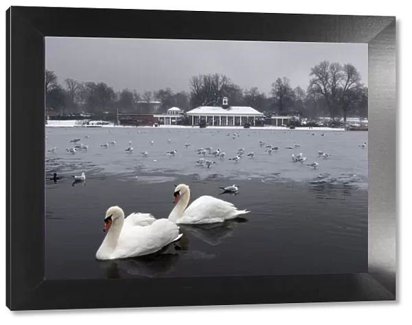 The Serpentine in winter, Hyde Park, London, England, United Kingdom, Europe