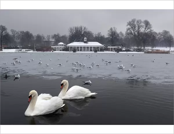 The Serpentine in winter, Hyde Park, London, England, United Kingdom, Europe