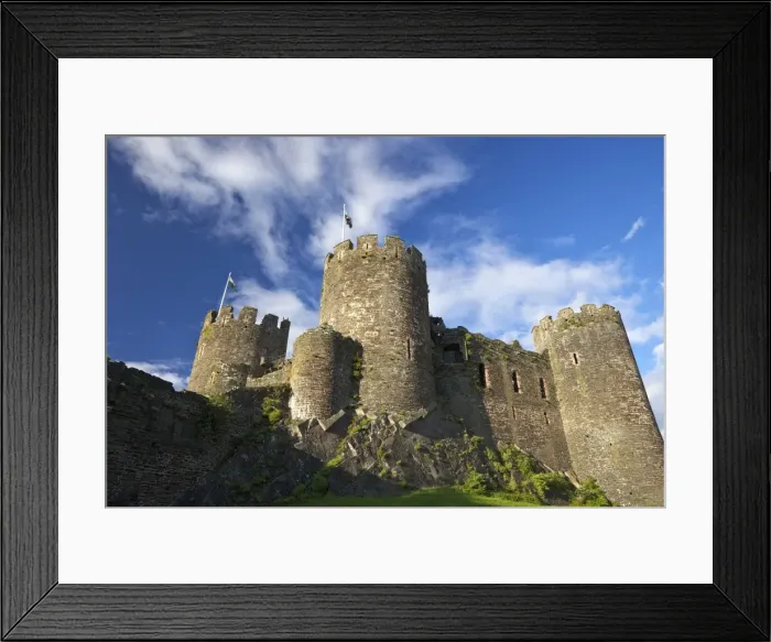 Framed Print : Conwy medieval castle in summer, UNESCO World Heritage Site, Gwynedd, North Wales, United Kingdom, Europe Framed Print : Conwy medieval castle in summer, UNESCO World Heritage Site, Gwynedd, North Wales, United Kingdom, Europe