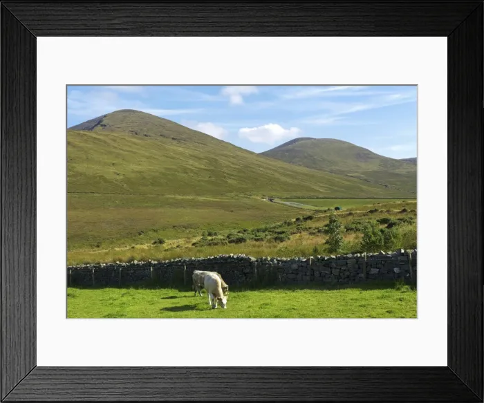 Framed Print : Slieve Meelmore and Slieve Meelbeg, Mourne Mountains, County Down, Ulster, Northern Ireland, United Kingdom, Europe Framed Print : Slieve Meelmore and Slieve Meelbeg, Mourne Mountains, County Down, Ulster, Northern Ireland, United Kingdom, Europe
