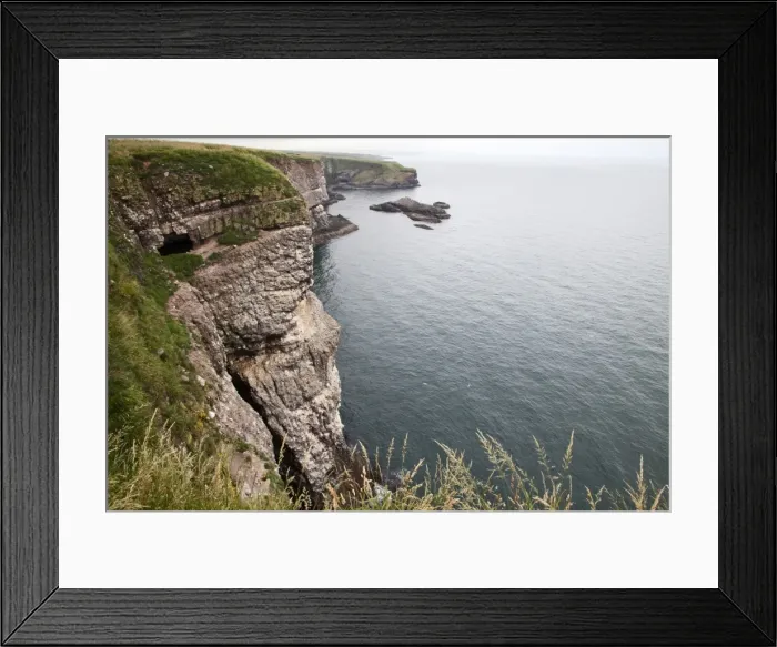 Framed Print : Cliffs at Fowlsheugh Nature Reserve, Crawton, Aberdeenshire, Scotland, United Kingdom, Europe Framed Print : Cliffs at Fowlsheugh Nature Reserve, Crawton, Aberdeenshire, Scotland, United Kingdom, Europe