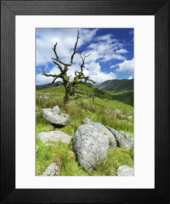 Framed Print : Woundale, Lake District National Park, Cumbria, England, United Kingdom, Europe Framed Print : Woundale, Lake District National Park, Cumbria, England, United Kingdom, Europe