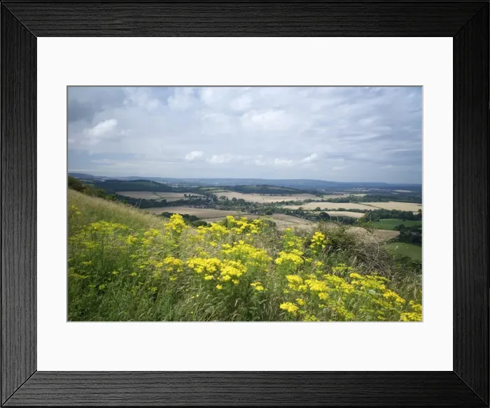 Framed Print : South Down Way, near South Harting, Hampshire, England, United Kingdom, Europe Framed Print : South Down Way, near South Harting, Hampshire, England, United Kingdom, Europe