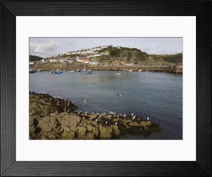 Framed Print : Mevagissey, St. Austell, Cornwall, England, United Kingdom, Europe Framed Print : Mevagissey, St. Austell, Cornwall, England, United Kingdom, Europe