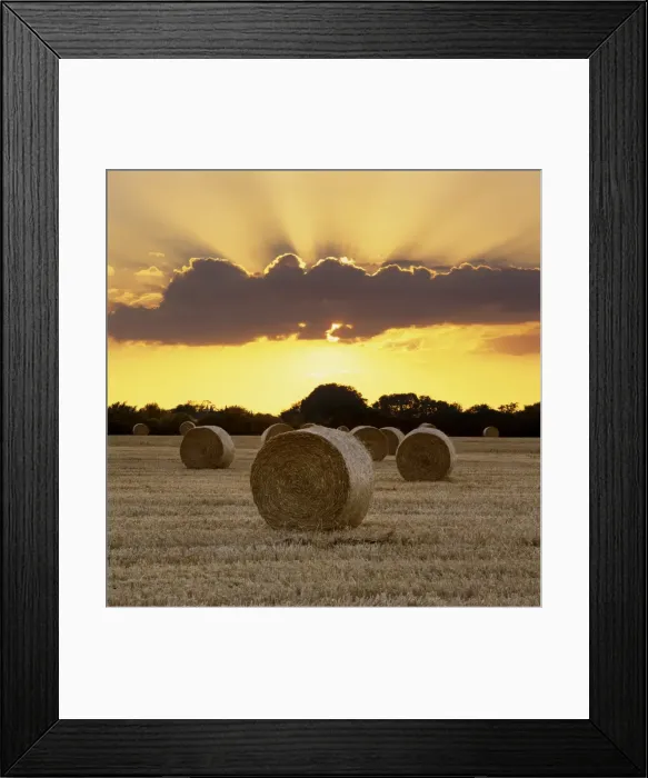 Framed Print : Hay bales at sunset, East Sussex, England, United Kingdom, Europe Framed Print : Hay bales at sunset, East Sussex, England, United Kingdom, Europe