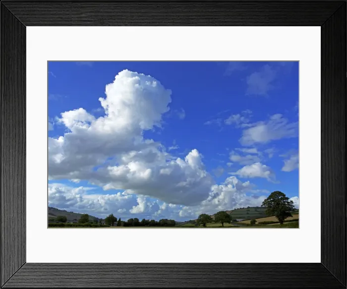 Framed Print : Cornfields, Exe Valley, Devon, England, United Kingdom, Europe Framed Print : Cornfields, Exe Valley, Devon, England, United Kingdom, Europe