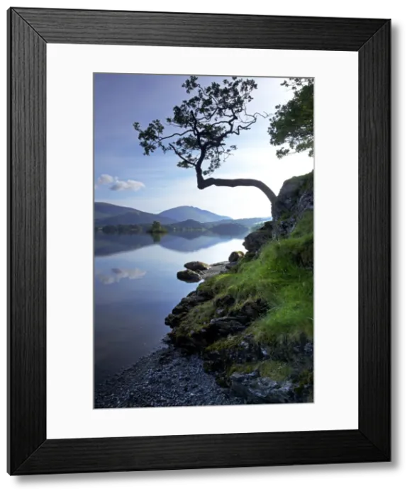 Framed Print : Derwent Water, Lake District National Park, Cumbria, England, United Kingdom, Europe Framed Print : Derwent Water, Lake District National Park, Cumbria, England, United Kingdom, Europe