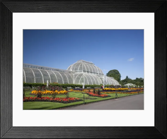 Framed Print : Palm House parterre with floral display of approx 16000 plants, Royal Botanic Gardens, UNESCO World Heritage Site, Kew, near Richmond, Surrey, England, United Kingdom, Europe Framed Print : Palm House parterre with floral display of approx 16000 plants, Royal Botanic Gardens, UNESCO World Heritage Site, Kew, near Richmond, Surrey, England, United Kingdom, Europe