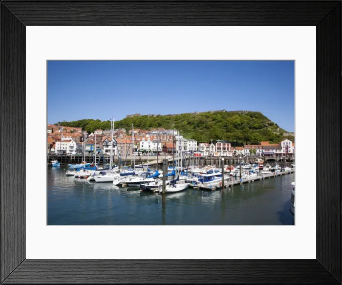 Framed Print : Yachts in the harbour and Castle Hill, Scarborough, North Yorkshire, Yorkshire, England, United Kingdom, Europe Framed Print : Yachts in the harbour and Castle Hill, Scarborough, North Yorkshire, Yorkshire, England, United Kingdom, Europe