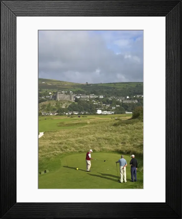 Framed Print : Royal St. Davids Golf Club and Harlech Castle in summer sunshine, Harlech, Gwynedd, Wales, United Kingdom, Europe Framed Print : Royal St. Davids Golf Club and Harlech Castle in summer sunshine, Harlech, Gwynedd, Wales, United Kingdom, Europe