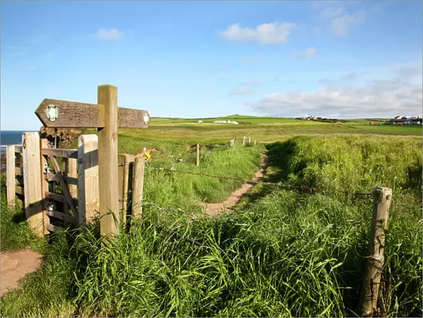 The Cleveland Way Footpath at Saltwick Bay near Whitby, North Yorkshire, Yorkshire, England, United Kingdom, Europe
