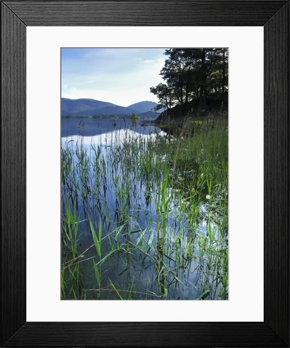Framed Print : Derwent Water, Lake District National Park, Cumbria, England, United Kingdom, Europe Framed Print : Derwent Water, Lake District National Park, Cumbria, England, United Kingdom, Europe