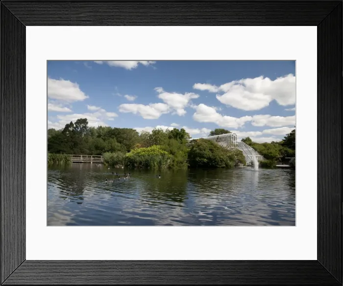 Framed Print : Ducks by fountain and Conservatory on River Thames, Royal Botanic Gardens, UNESCO World Heritage Site, Kew, near Richmond, Surrey, England, United Kingdom, Europe Framed Print : Ducks by fountain and Conservatory on River Thames, Royal Botanic Gardens, UNESCO World Heritage Site, Kew, near Richmond, Surrey, England, United Kingdom, Europe