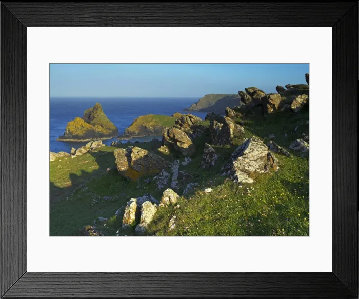 Framed Print : Kynance Cove, The Lizard, Cornwall, England, United Kingdom, Europe Framed Print : Kynance Cove, The Lizard, Cornwall, England, United Kingdom, Europe