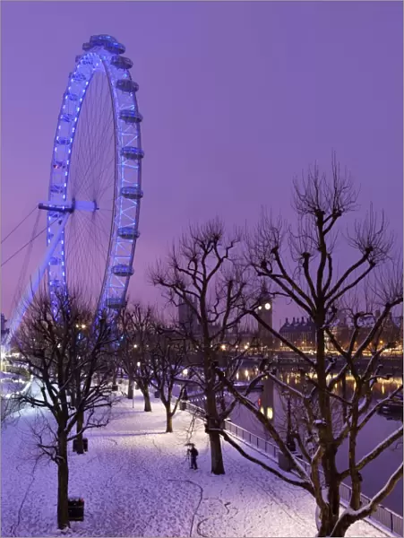 Houses of Parliament and London Eye in winter, London, England, United Kingdom, Europe