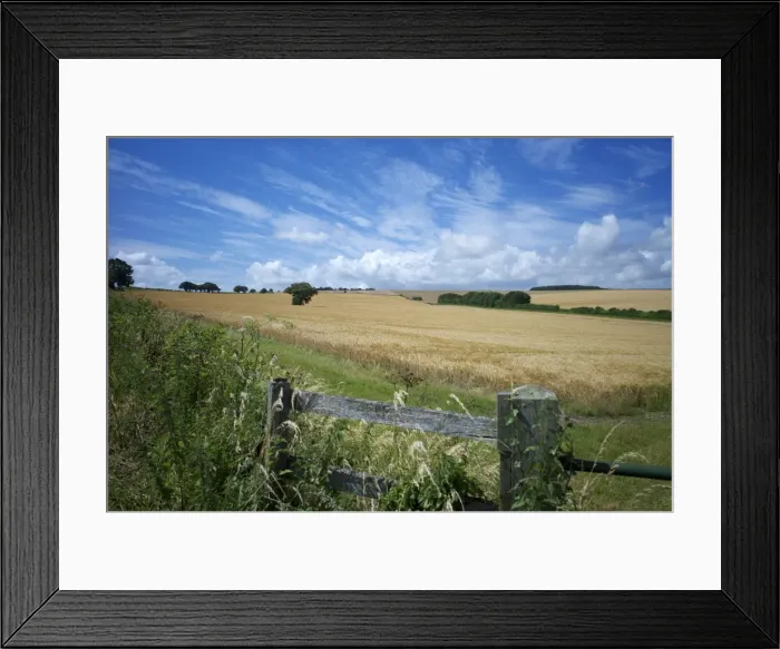 Framed Print : The South Downs Way, Hampshire, England, United Kingdom, Europe Framed Print : The South Downs Way, Hampshire, England, United Kingdom, Europe
