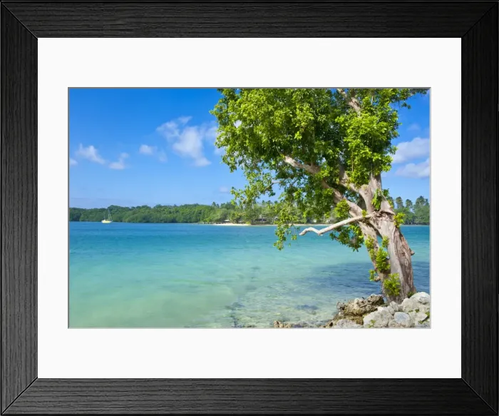 Framed Print : View across the bay to Oyster island, Island of Espiritu Santo, Vanuatu, South Pacific, Pacific Framed Print : View across the bay to Oyster island, Island of Espiritu Santo, Vanuatu, South Pacific, Pacific
