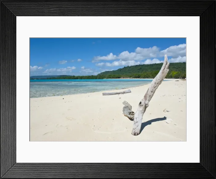 Framed Print : Driftwood on the white sand beach of Port Orly, Island of Espiritu Santo, Vanuatu, South Pacific, Pacific Framed Print : Driftwood on the white sand beach of Port Orly, Island of Espiritu Santo, Vanuatu, South Pacific, Pacific