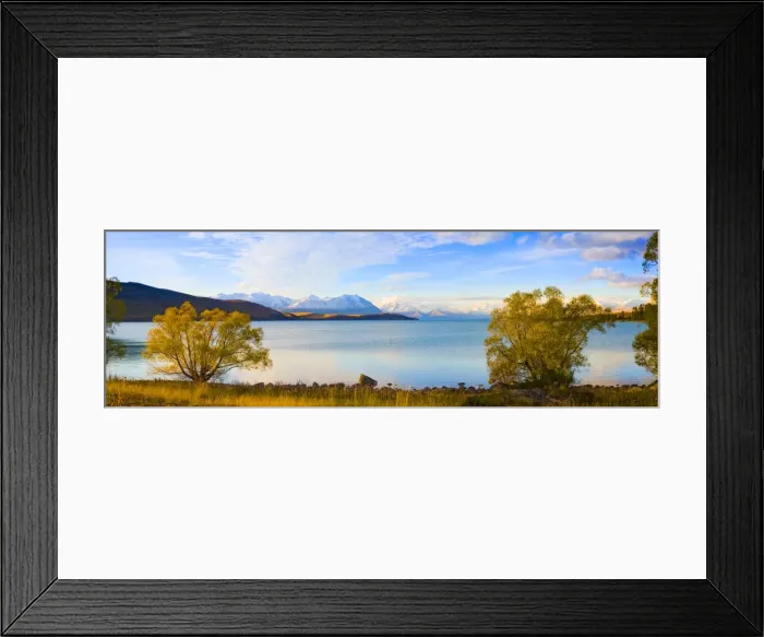 Framed Print : Panorama of autumn trees at Lake Tekapo, Canterbury, Southern Lakes, South Island, New Zealand, Pacific Framed Print : Panorama of autumn trees at Lake Tekapo, Canterbury, Southern Lakes, South Island, New Zealand, Pacific