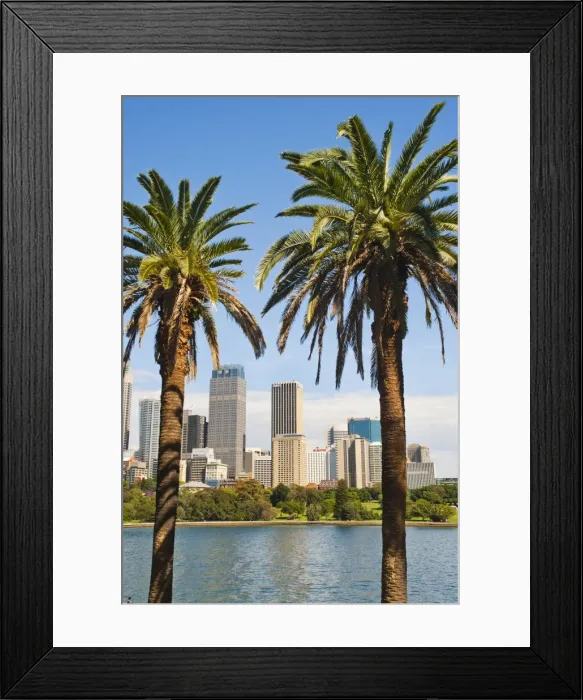 Framed Print : Sydney Central Business District and city centre from Sydney Botanic Gardens, Sydney, New South Wales, Australia, Pacific Framed Print : Sydney Central Business District and city centre from Sydney Botanic Gardens, Sydney, New South Wales, Australia, Pacific