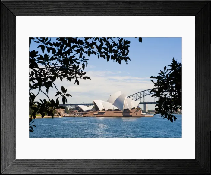 Framed Print : Sydney Opera House, UNESCO World Heritage Site, and bridge from the Sydney Botanic Gardens, Sydney, New South Wales, Australia, Pacific Framed Print : Sydney Opera House, UNESCO World Heritage Site, and bridge from the Sydney Botanic Gardens, Sydney, New South Wales, Australia, Pacific
