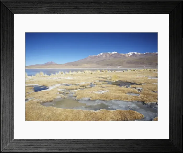 Framed Print : Landscape of Laguna Canapa on Altiplano, Potosi Department, Bolivia, South America Framed Print : Landscape of Laguna Canapa on Altiplano, Potosi Department, Bolivia, South America