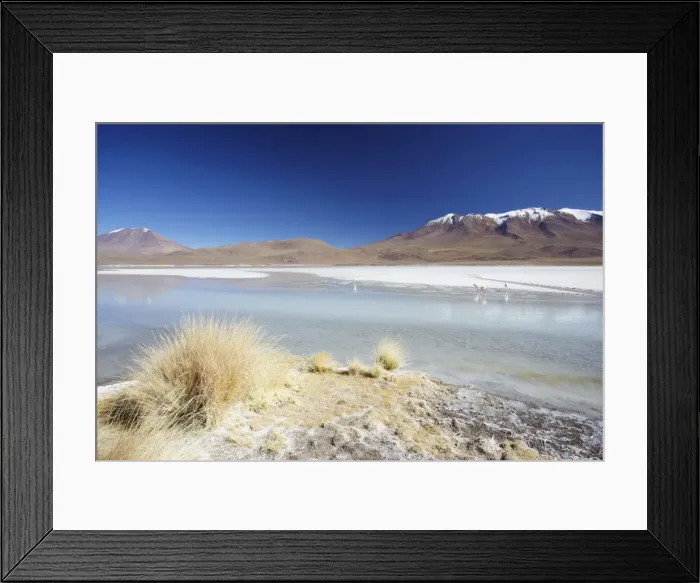 Framed Print : Laguna Adeyonda on Altiplano, Potosi Department, Bolivia, South America Framed Print : Laguna Adeyonda on Altiplano, Potosi Department, Bolivia, South America