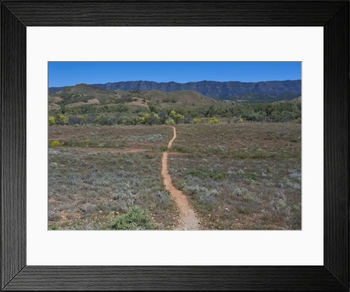 Framed Print : Dusty road leading in the Flinders National Park, South Australia, Australia, Pacific Framed Print : Dusty road leading in the Flinders National Park, South Australia, Australia, Pacific