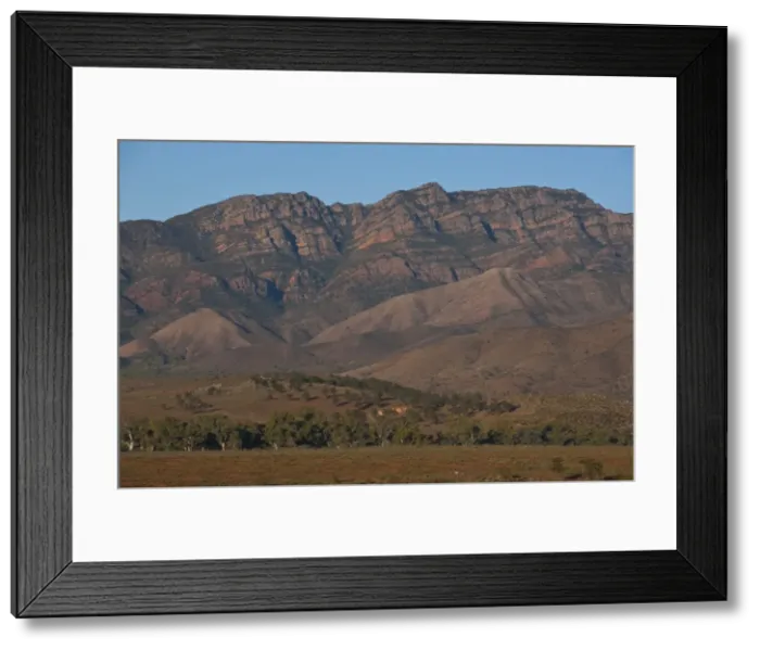 Framed Print : Flinders Ranges National Park, South Australia, Australia, Pacific Framed Print : Flinders Ranges National Park, South Australia, Australia, Pacific