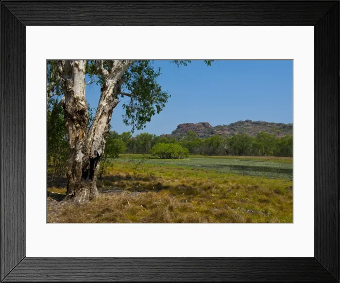 Framed Print : Kakadu National Park, UNESCO World Heritage Site, Northern Territory, Australia, Pacific