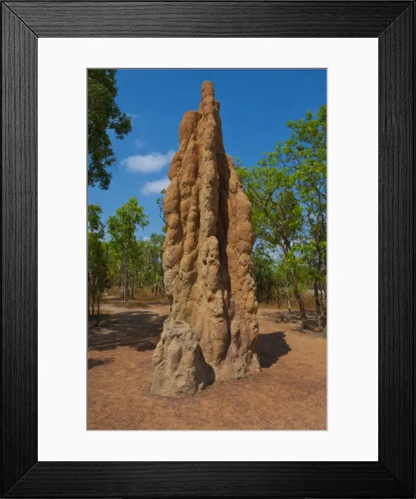 Framed Print : Termite mound in the Litchfield National Park, Northern Territory, Australia, Pacific Framed Print : Termite mound in the Litchfield National Park, Northern Territory, Australia, Pacific