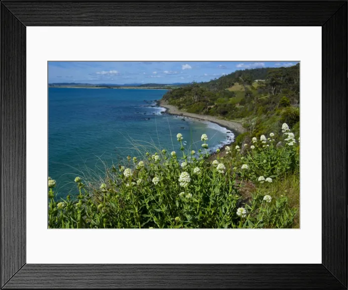Framed Print : Tasmania, Australia, Pacific Framed Print : Tasmania, Australia, Pacific