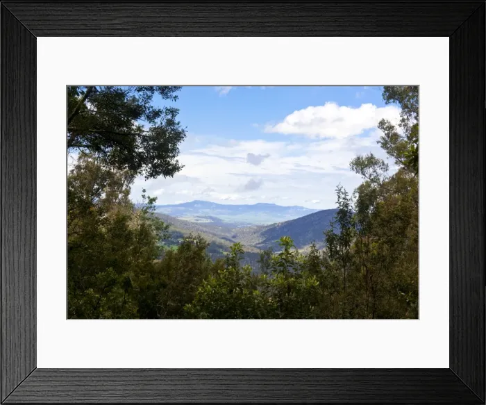 Framed Print : Mount Field National Park, Tasmania, Australia, Pacific Framed Print : Mount Field National Park, Tasmania, Australia, Pacific