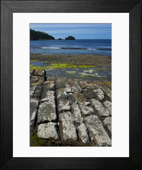 Framed Print : Tessellated Pavement, Tasman Peninsula, Tasmania, Australia, Pacific Framed Print : Tessellated Pavement, Tasman Peninsula, Tasmania, Australia, Pacific