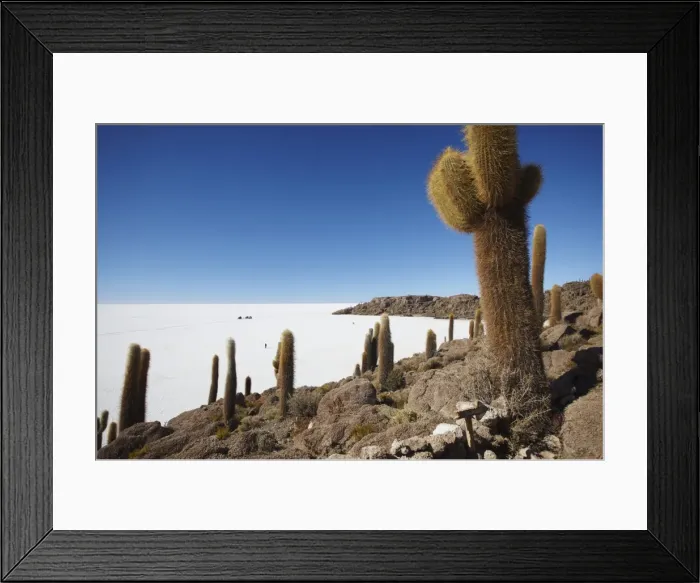 Framed Print : Isla del Pescado (Fish Island) on Salar de Uyuni (Salt Flats of Uyuni), Potosi Department, Bolivia, South America Framed Print : Isla del Pescado (Fish Island) on Salar de Uyuni (Salt Flats of Uyuni), Potosi Department, Bolivia, South America