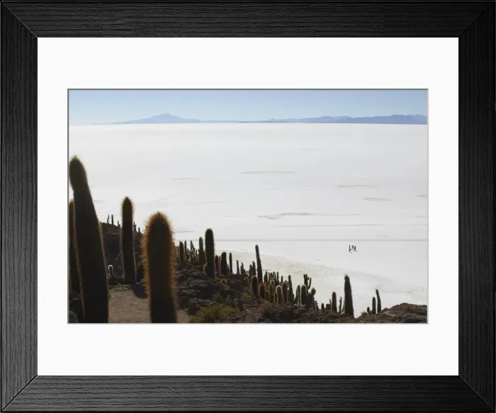 Framed Print : View of people walking on Salar de Uyuni (Salt Flats of Uyuni) from Isla del Pescado (Fish Island), Potosi Department, Bolivia, South America Framed Print : View of people walking on Salar de Uyuni (Salt Flats of Uyuni) from Isla del Pescado (Fish Island), Potosi Department, Bolivia, South America