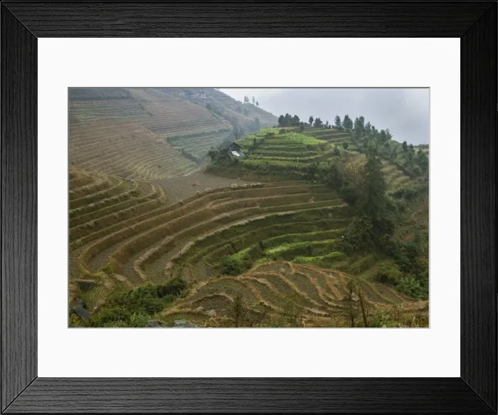 Framed Print : Rice terraces, Longji, Guangxi, China, Asia Framed Print : Rice terraces, Longji, Guangxi, China, Asia