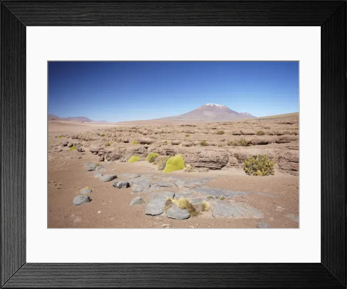 Framed Print : Landscape of Altiplano, Potosi Department, Bolivia, South America Framed Print : Landscape of Altiplano, Potosi Department, Bolivia, South America