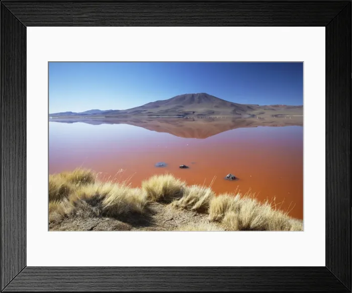 Framed Print : Laguna Colorada on the Altiplano, Potosi Department, Bolivia, South America