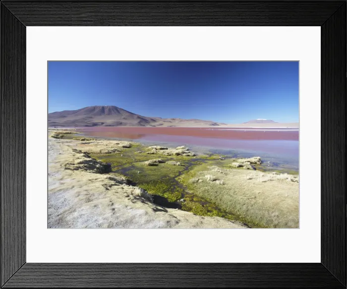 Framed Print : Laguna Colorada on the Altiplano, Potosi Department, Bolivia, South America Framed Print : Laguna Colorada on the Altiplano, Potosi Department, Bolivia, South America